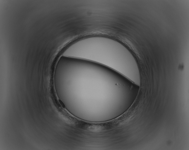X0000094790444200711160921