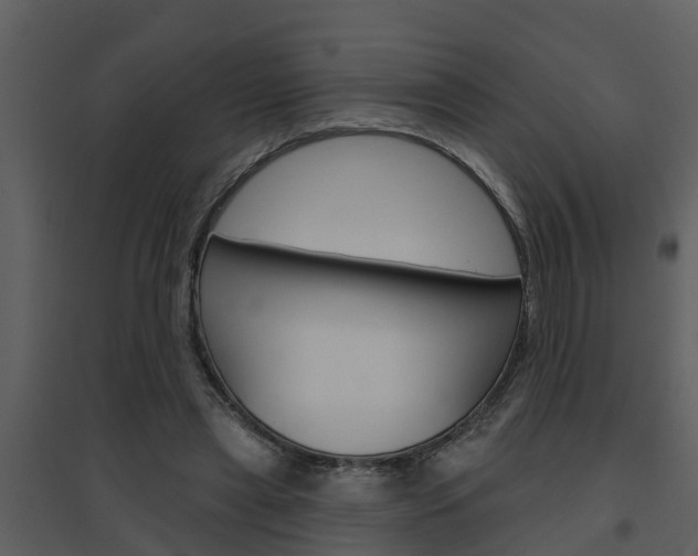 X0000094790445200711160921
