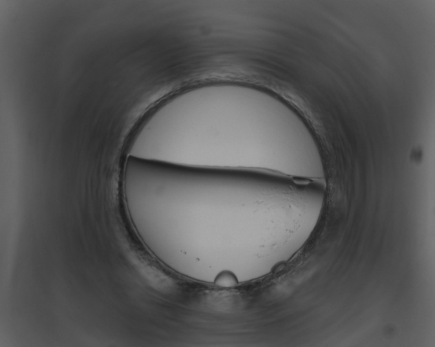 X0000094790446200711160921