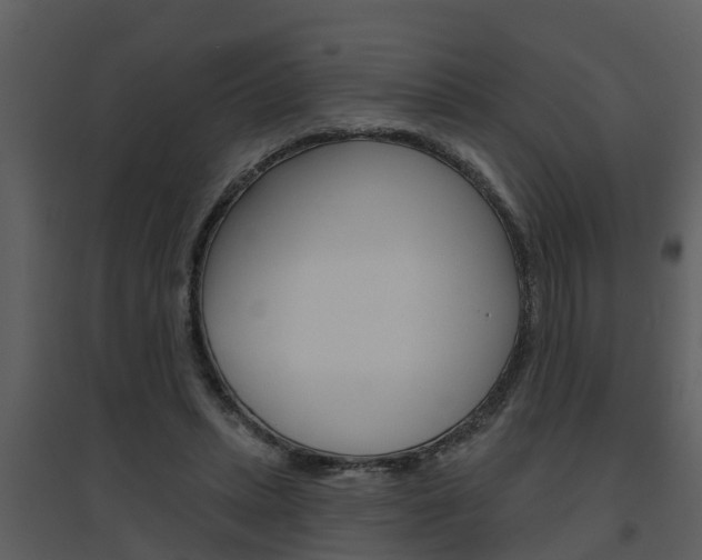 X0000094790447200711160921