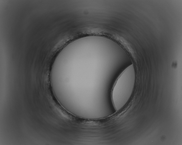 X0000094790449200711160921