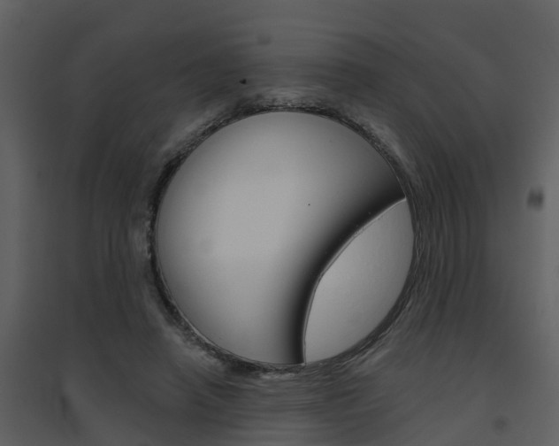 X0000094790450200711160921