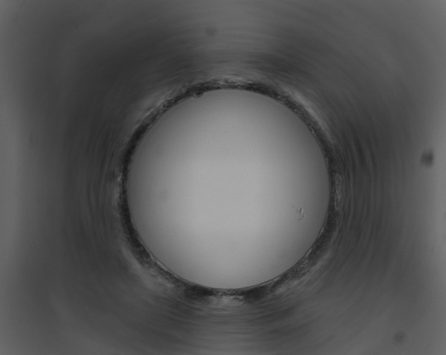 X0000094790451200711160921