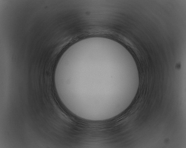 X0000094790452200711160921