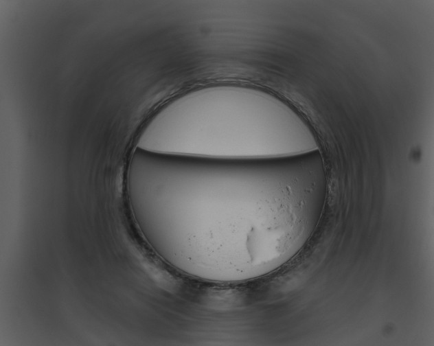 X0000094790454200711160921