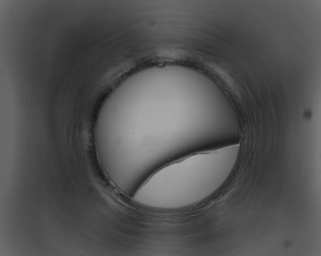 X0000094790455200711160921