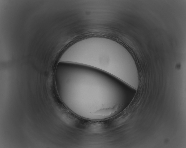 X0000094790456200711160921