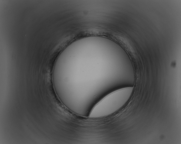 X0000094790457200711160921