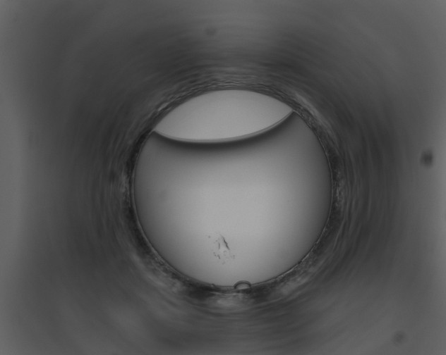 X0000094790459200711160921