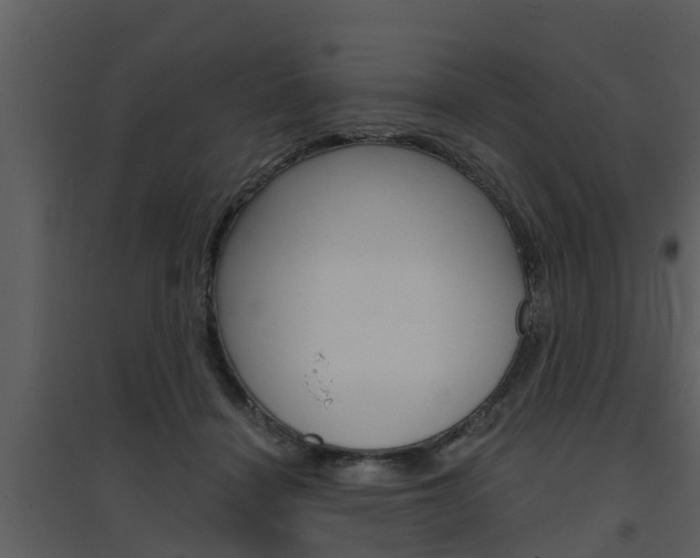 X0000094790460200711160921