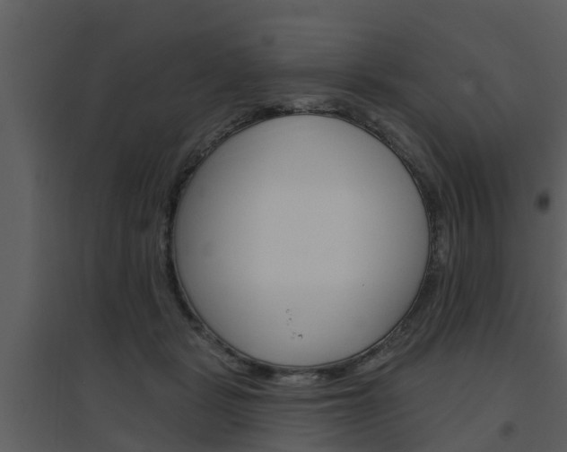 X0000094790461200711160921