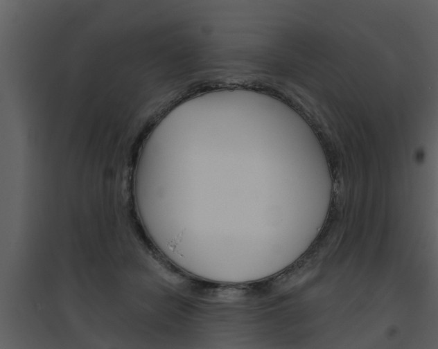 X0000094790462200711160921