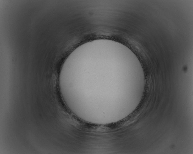 X0000094790463200711160921