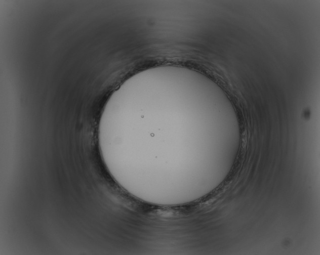 X0000094790464200711160921