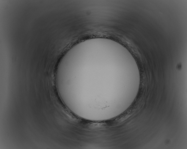 X0000094790465200711160921