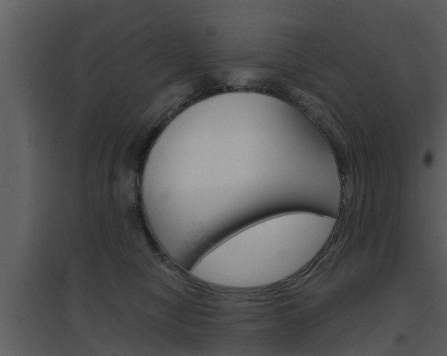 X0000094790470200711160921