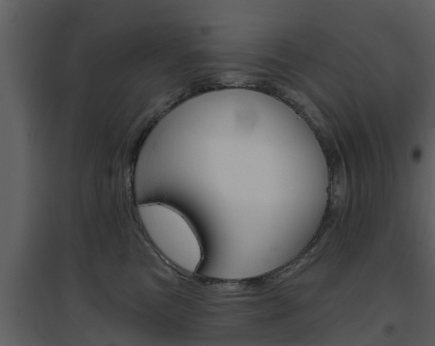 X0000094790473200711160921
