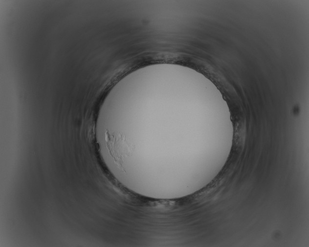 X0000094790474200711160921