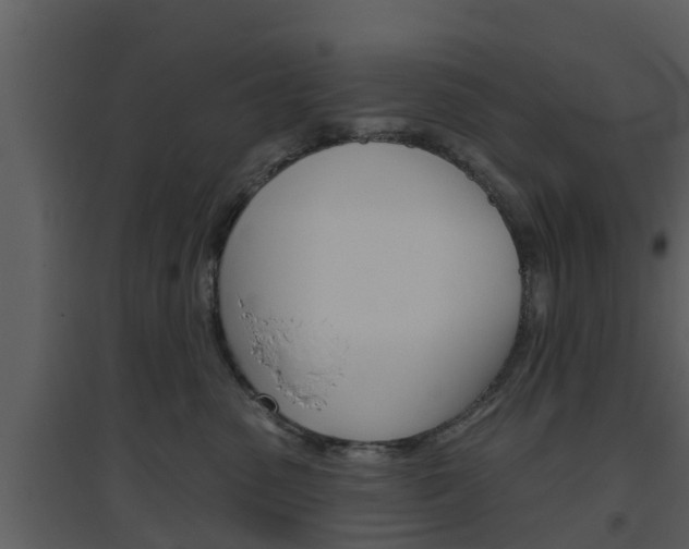 X0000094790475200711160921