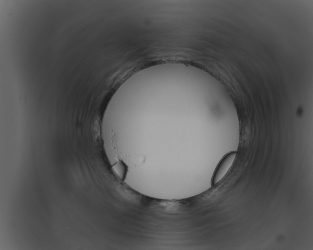 X0000094790478200711160921