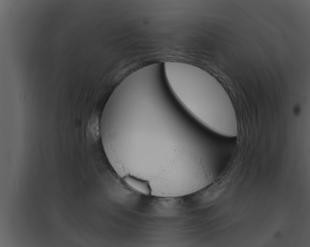 X0000094790479200711160921