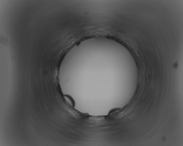 X0000094790480200711160921