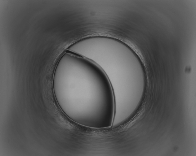 X0000094790481200711160921