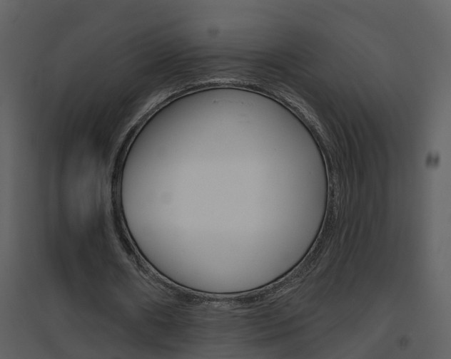 X0000094790482200711160921