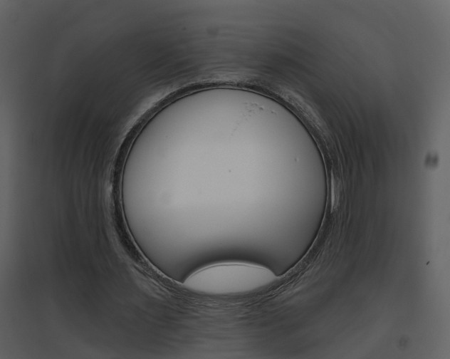 X0000094790483200711160921