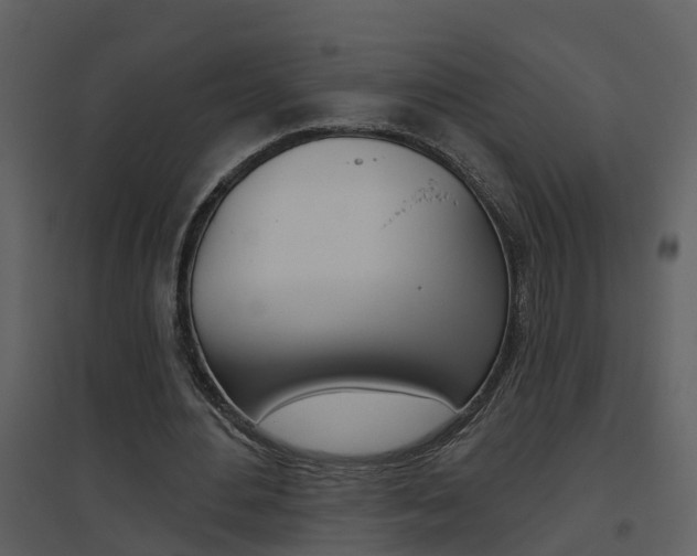 X0000094790484200711160920