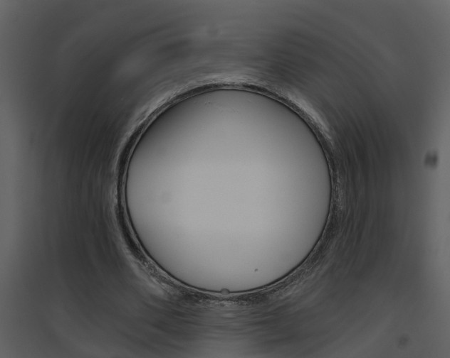 X0000094790486200711160920