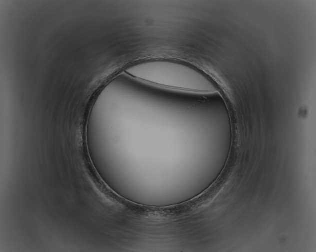 X0000094790489200711160920