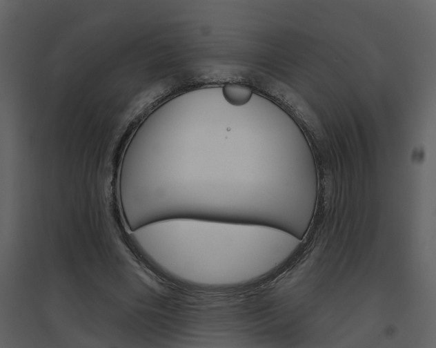 X0000094790490200711160920