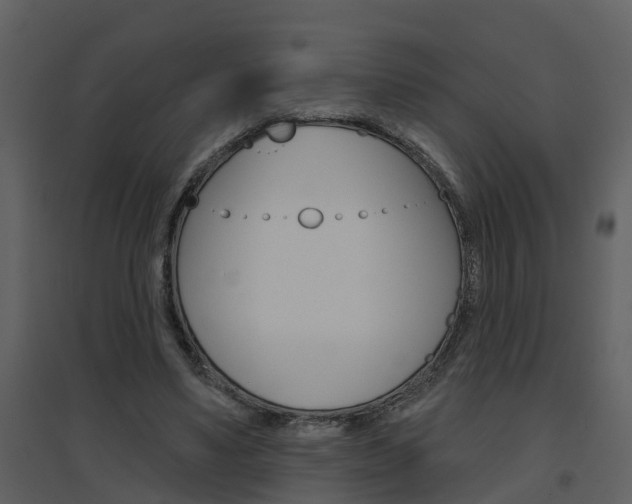 X0000094790491200711160920