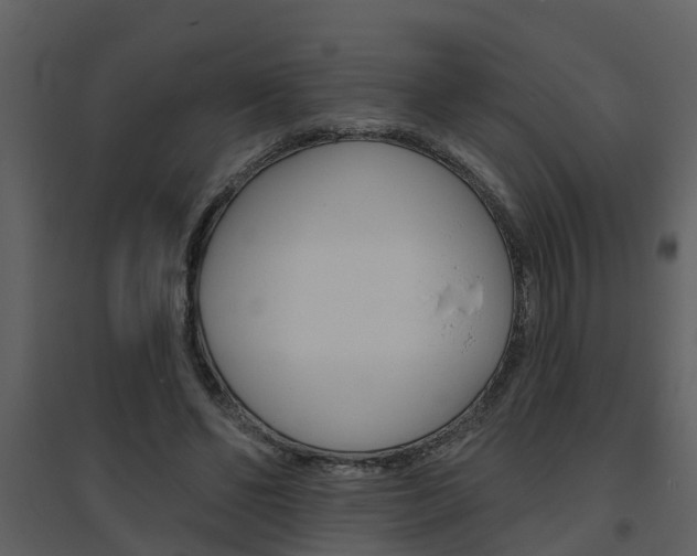 X0000094790494200711160920