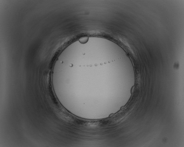 X0000094790495200711160920