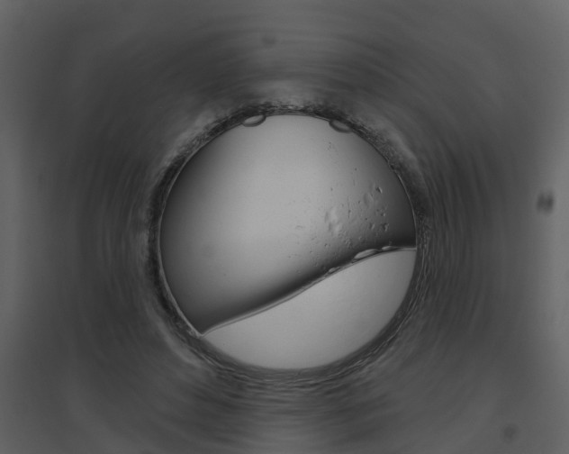 X0000094790496200711160920