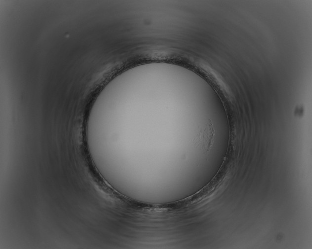 X0000094790497200711160920