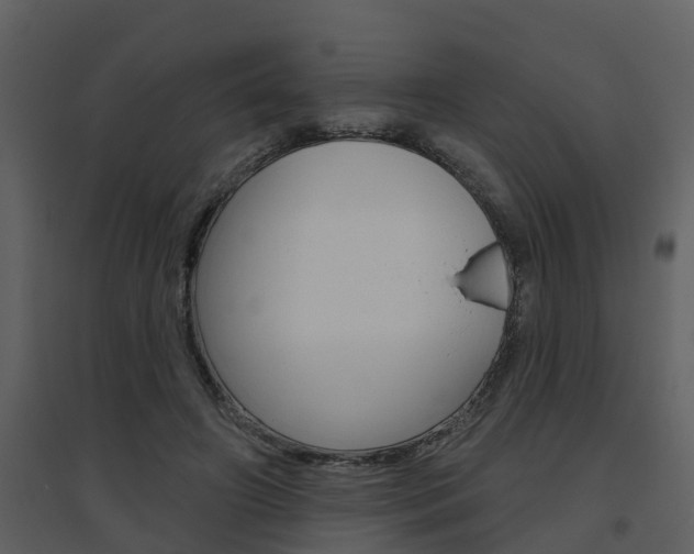 X0000094790498200711160920