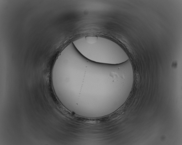 X0000094790499200711160920