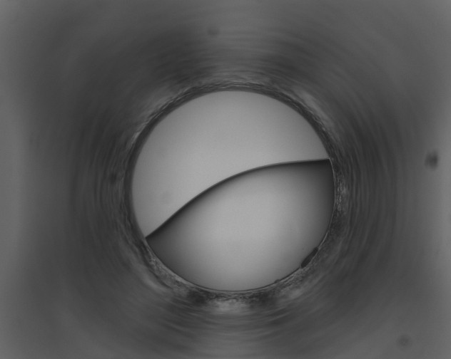 X0000094790500200711160920