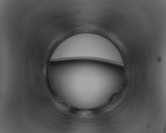 X0000094790501200711160920