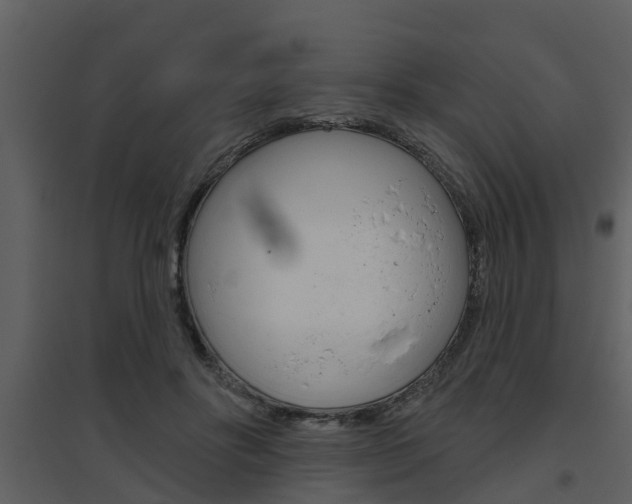 X0000094790502200711160920