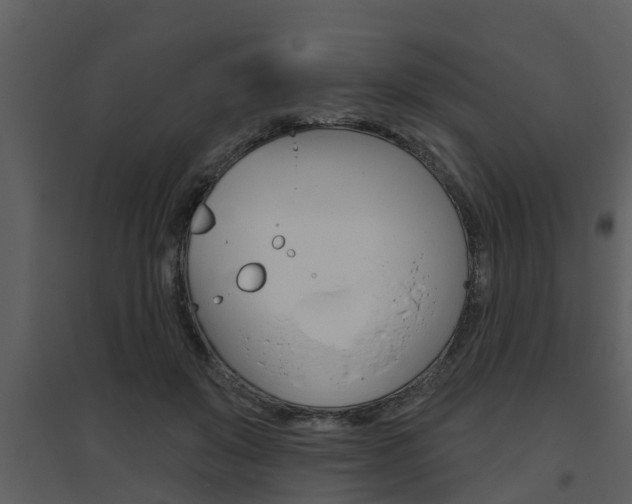 X0000094790503200711160920