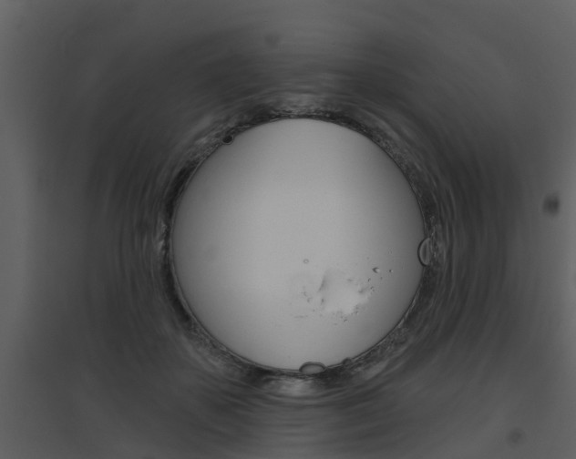 X0000094790507200711160920