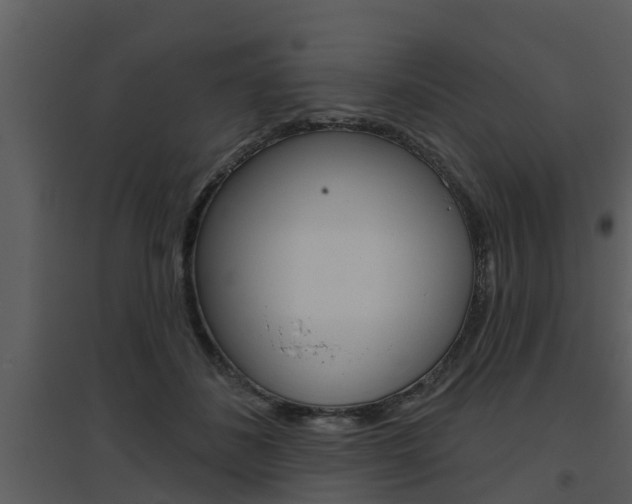 X0000094790508200711160920