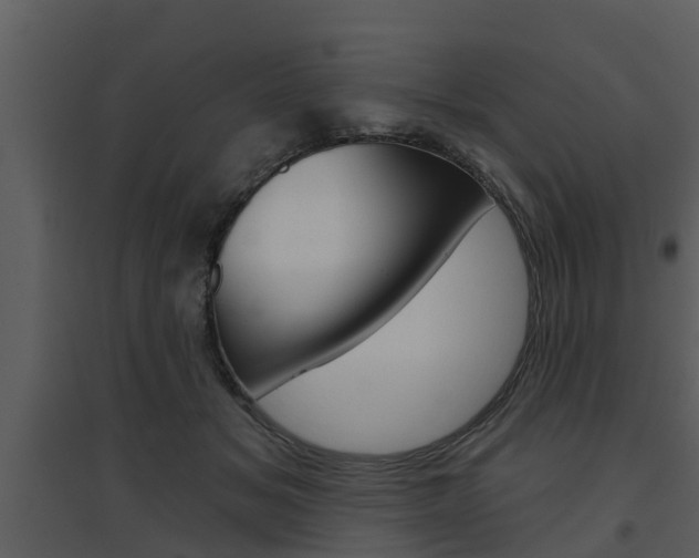 X0000094790509200711160920