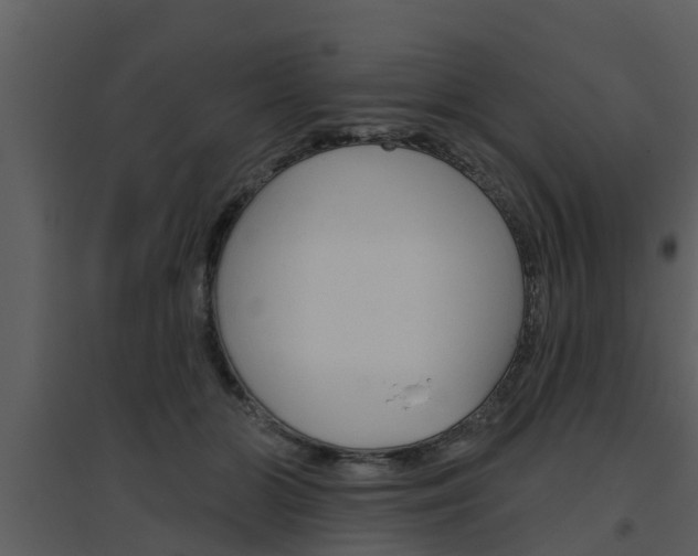X0000094790510200711160920