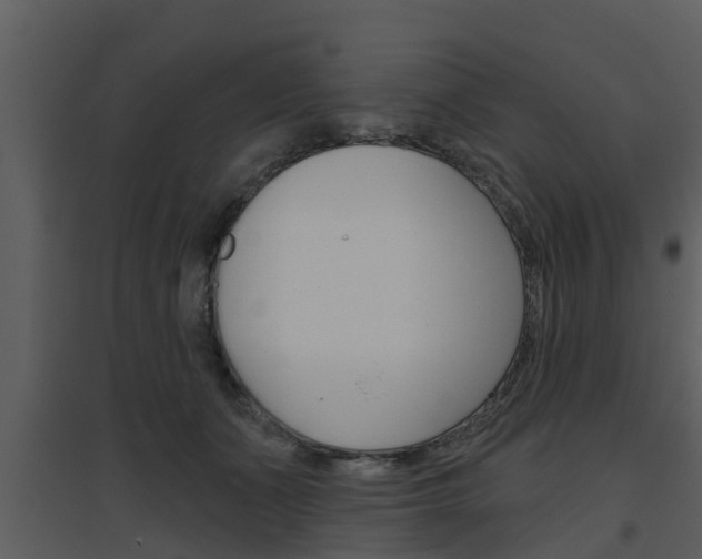 X0000094790511200711160920