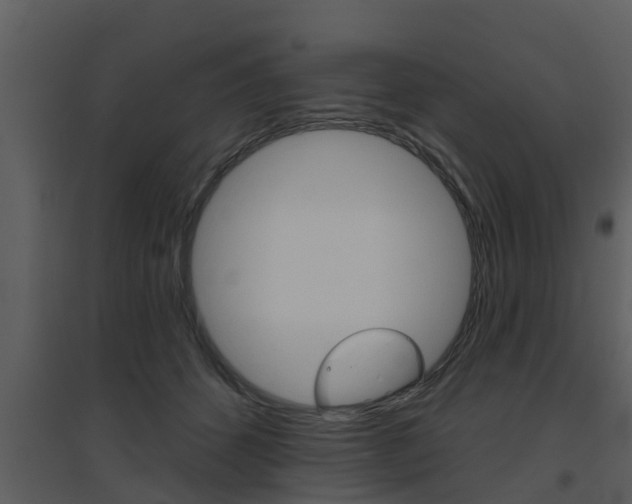 X0000094790512200711160920